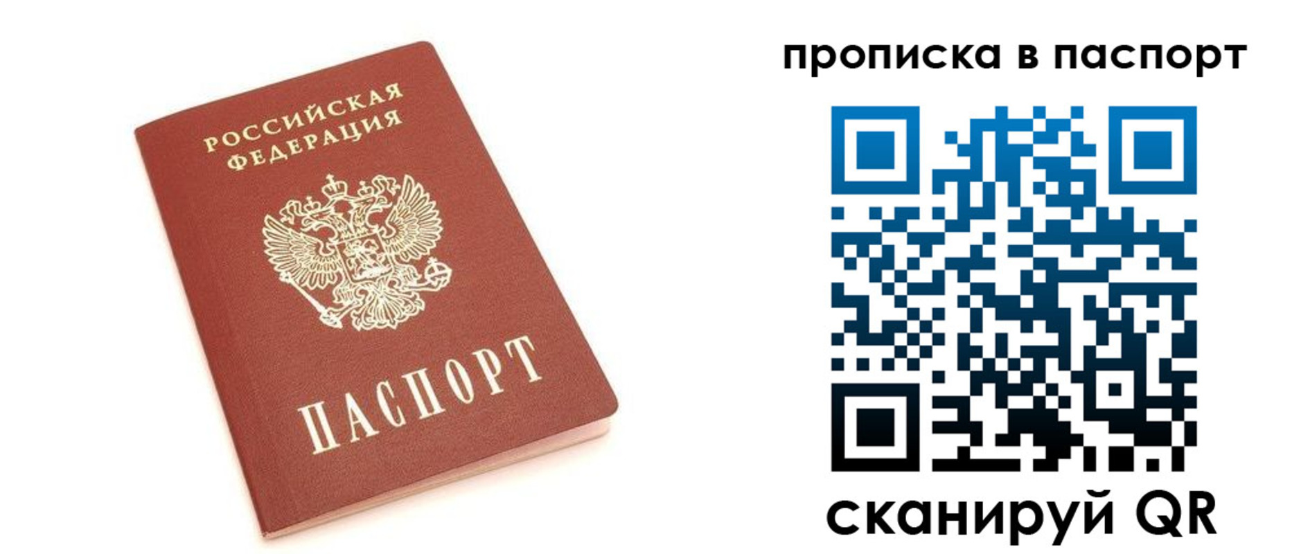 прописка в Звенигово